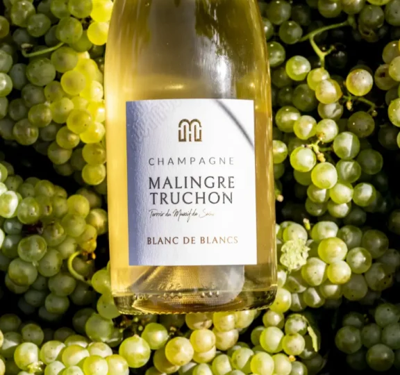 Cuvée Blanc de blancs
