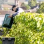 Vendanges